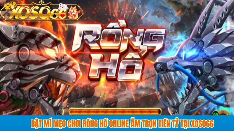 Bật mí mẹo chơi rồng hồ online ẵm trọn tiền tỷ tại XOSO66