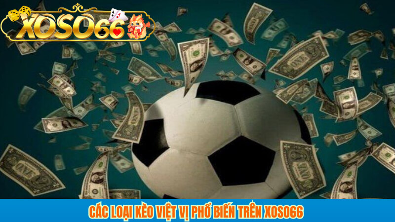 Các loại kèo việt vị phổ biến trên xoso66