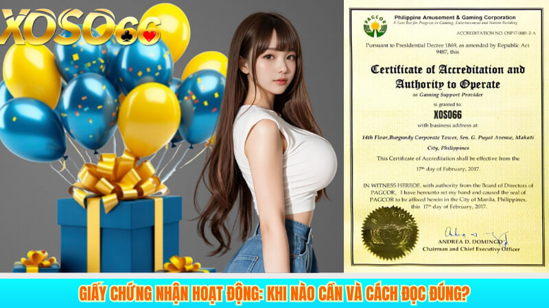 Giấy chứng nhận hoạt động: Khi nào cần và cách đọc đúng?
