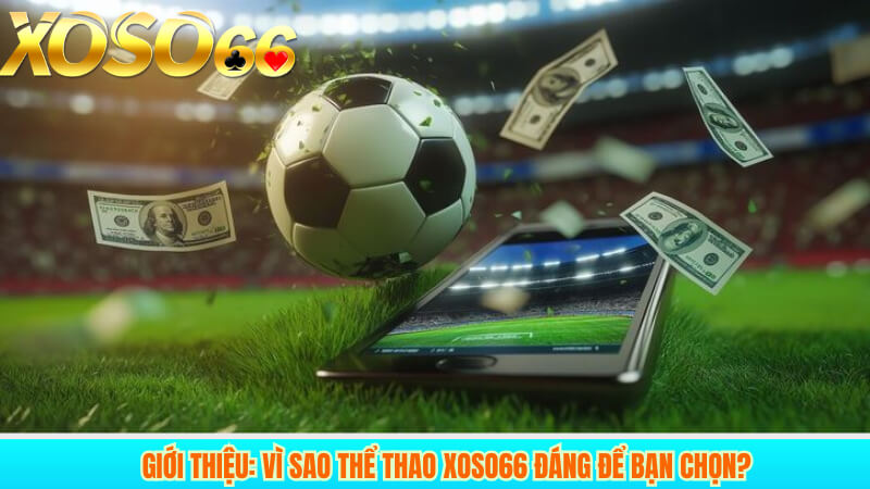 Giới thiệu: vì sao thể thao xoso66 đáng để bạn chọn?