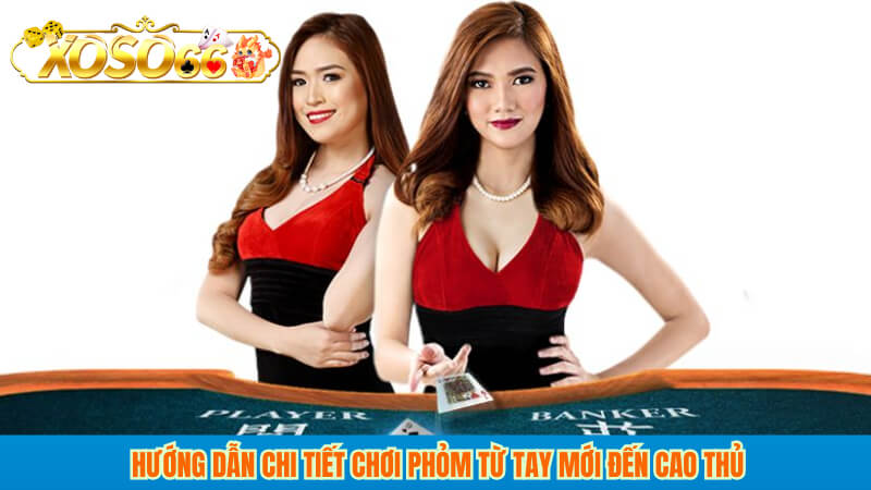 Hướng Dẫn Chi Tiết Chơi phỏm Từ Tay Mới Đến Cao Thủ