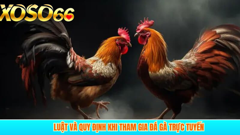 Luật & quy định khi tham gia đá gà trực tuyến