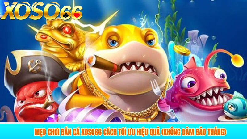 Mẹo chơi bắn cá xoso66 cách tối ưu hiệu quả (không đảm bảo thắng)
