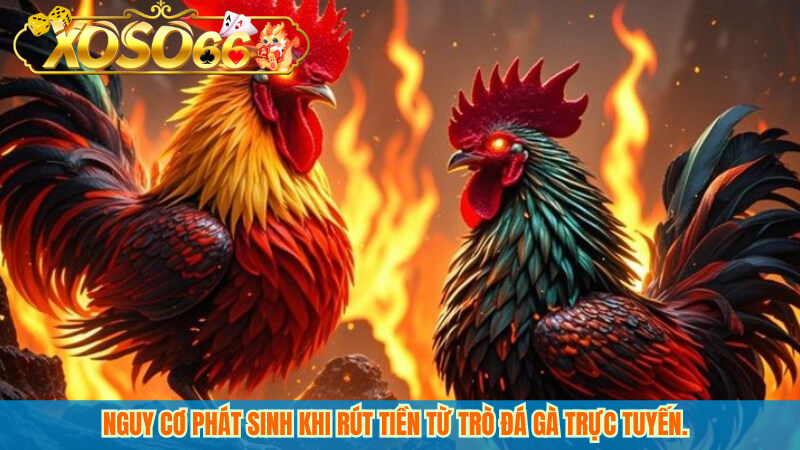 Nguy cơ phát sinh khi rút tiền từ trò đá gà trực tuyến.