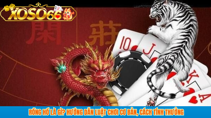 Rồng Hổ là gì? Hướng dẫn luật chơi cơ bản, cách tính thưởng