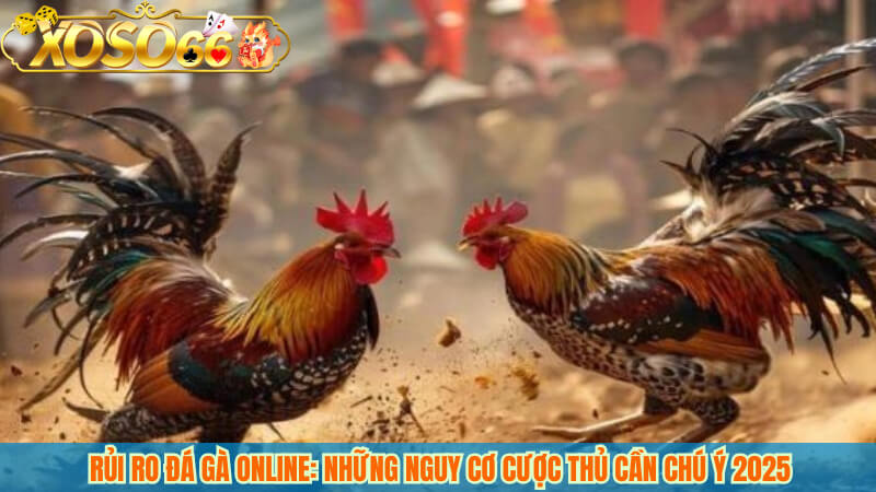 Rủi ro đá gà online: Những nguy cơ cược thủ cần chú ý 2025