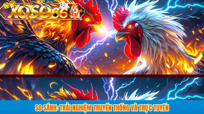 So sánh: Trải nghiệm truyền thống và trực tuyến