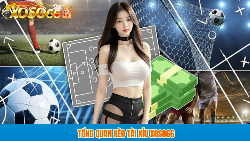 Tổng quan kèo tài xỉu xoso66
