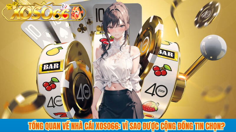 Tổng quan về nhà cái xoso66: Vì sao được cộng đồng tin chọn?