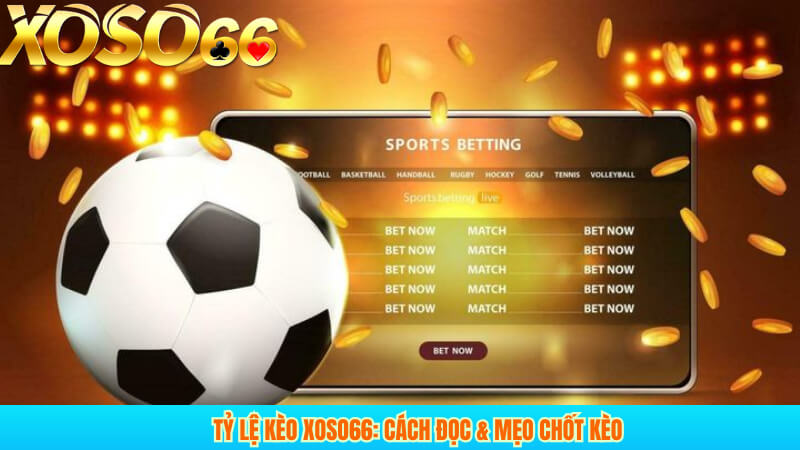 Tỷ lệ kèo xoso66: cách đọc & mẹo chốt kèo