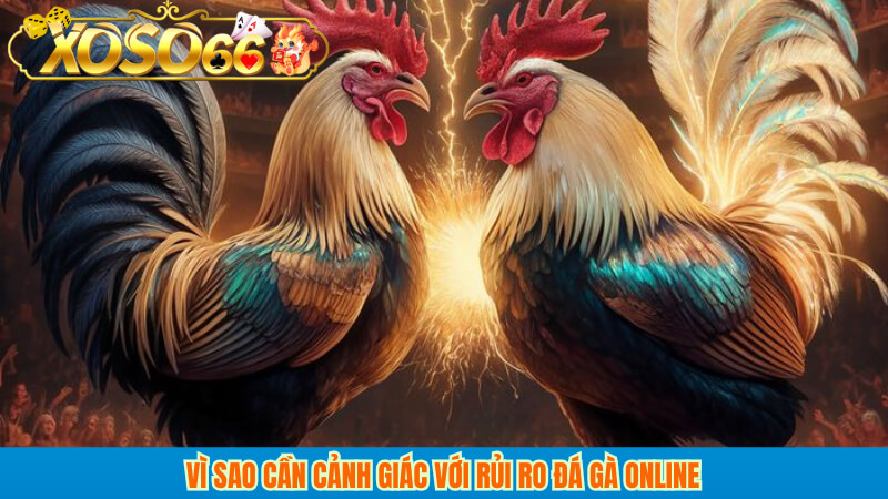 Vì sao cần cảnh giác với rủi ro đá gà online